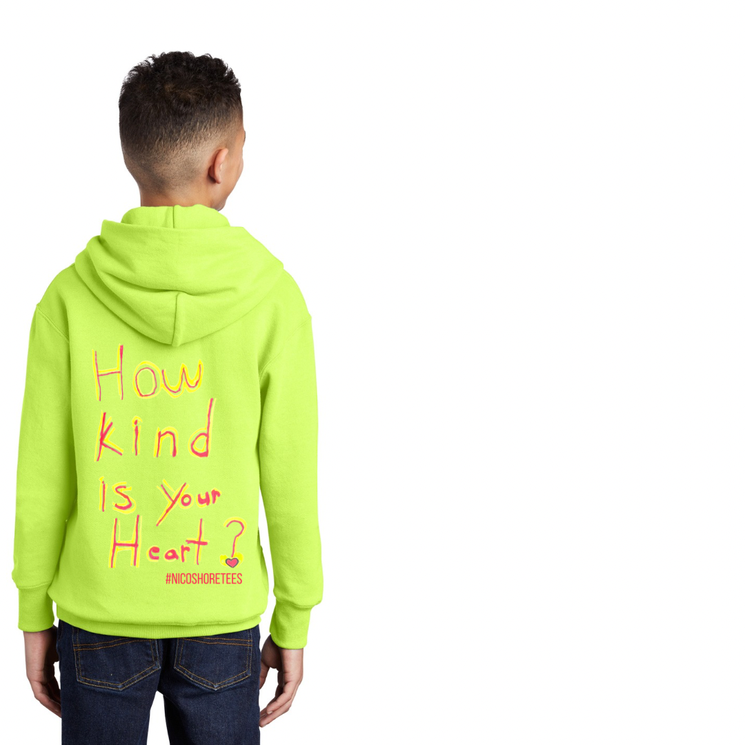 Hoodie kindness nicoshoretees