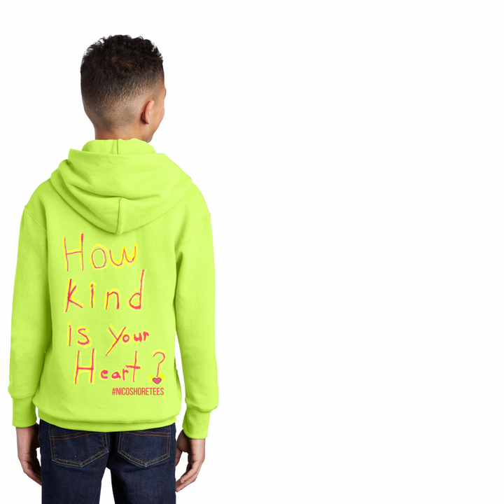 Hoodie kindness nicoshoretees